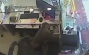 Câmeras de segurança flagram macaco roubando caixa de joalheria