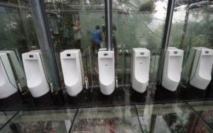 China inaugura banheiros públicos de vidro no alto de floresta 